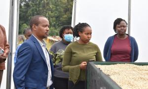 Nyeri