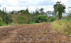 Machakos Project Visit