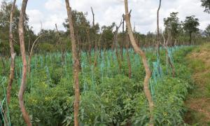 Machakos Project Visit