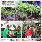 Environmental protection across Kenya